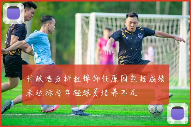 付政浩分析杜锋卸任原因包括成绩未达标与年轻球员培养不足